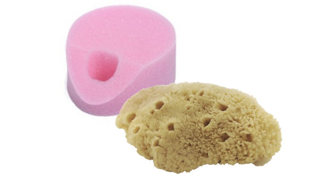 Which Is Best, Natural Sea Sponges Or Synthetic Menstrual Sponges?