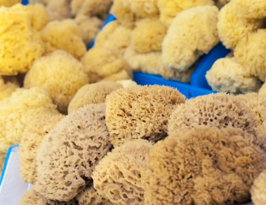 Unbleached or Bleached Menstrual Sponges?