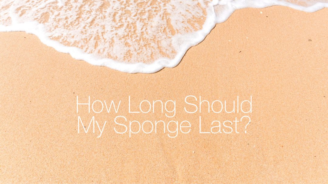 How Long Will A Menstrual Sponge Last?