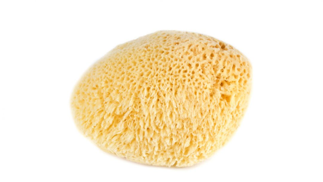 New Menstrual Sponges