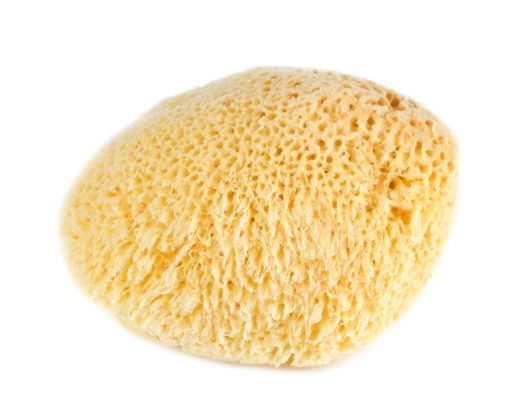 New Menstrual Sponges